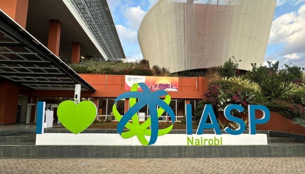 IASP 2024 World Conference - Image 3