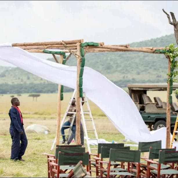 The Week of the Wedding - Image 1