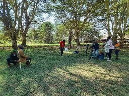 Road to Gold - Image 4